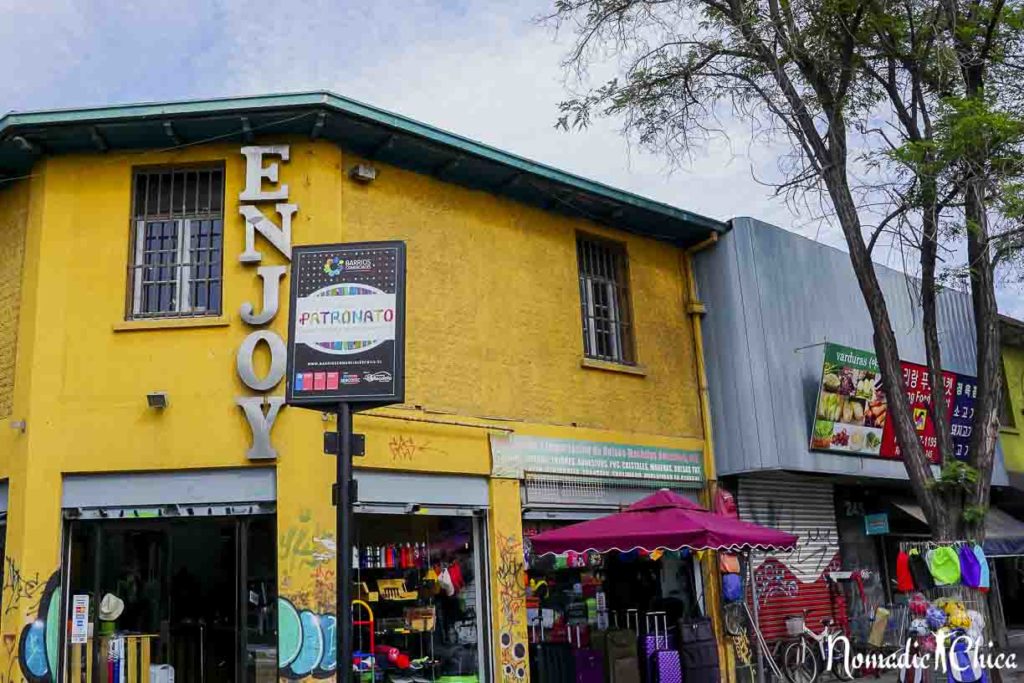 cebra alojamiento estas Guía de compras en el Barrio Patronato, Santiago de Chile